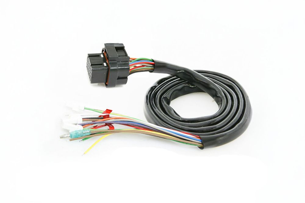Wiring harness RX2N+